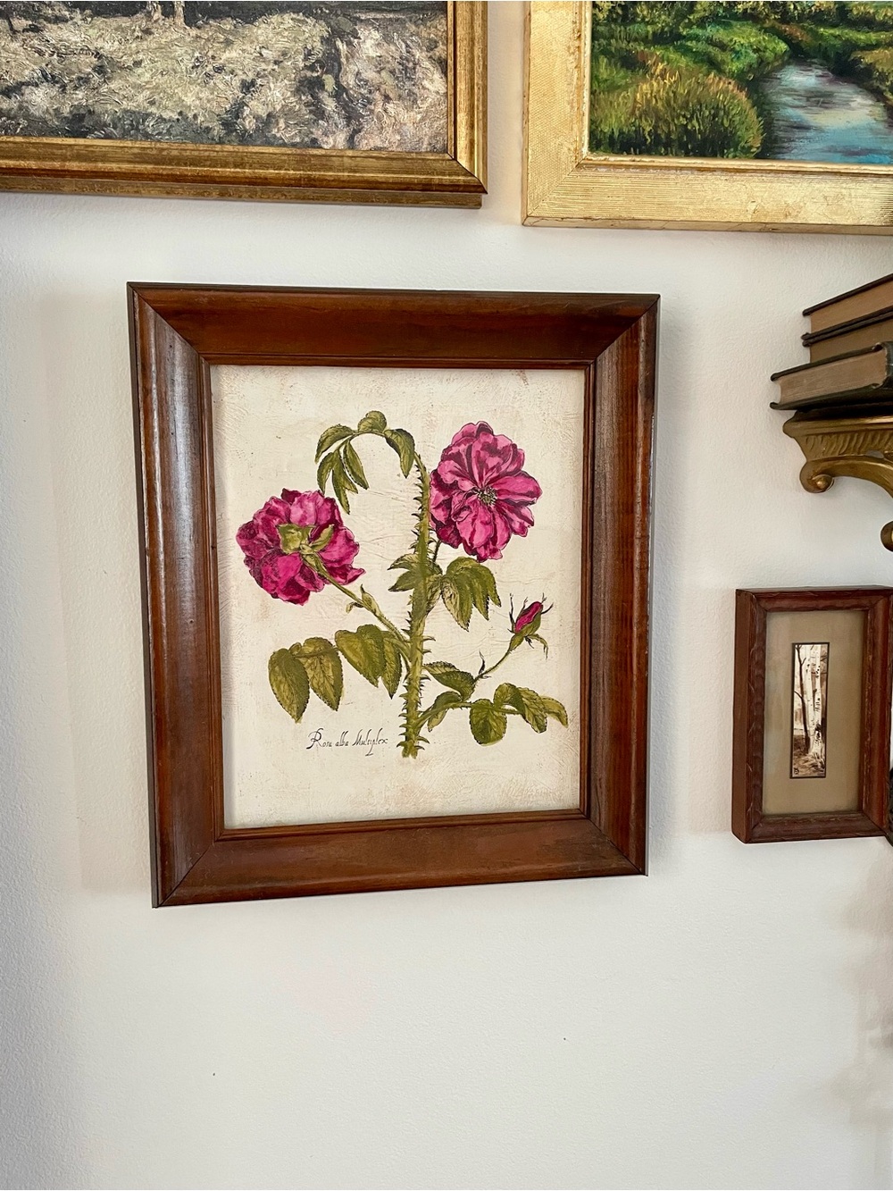 Framed Botanical Floral mixed media painting